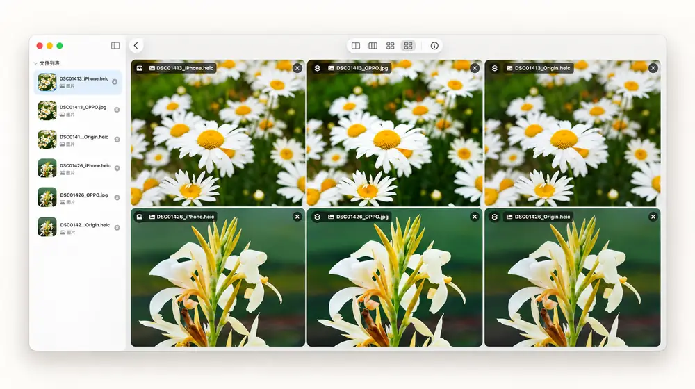 FrameSight macOS comparison workspace presenting six real image sources in a refined multi-image review layout.